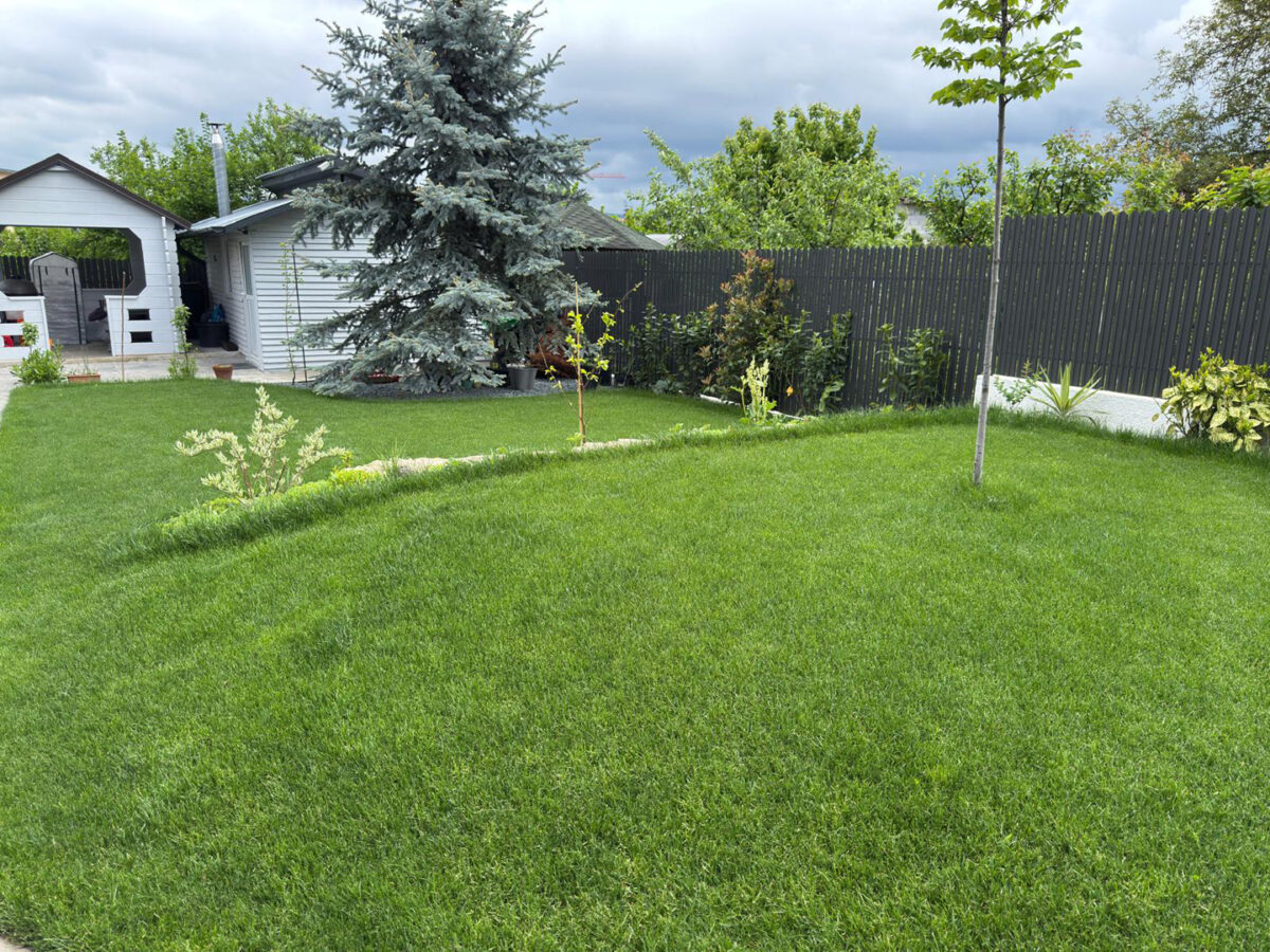 Amenajare gradina minimalista in 2 zile www.ecogardenconstruct.com 1